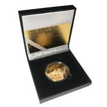 Lade das Bild in den Galerie-Viewer, 44713002598667