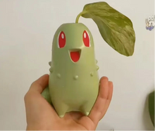 Lade das Bild in den Galerie-Viewer, Endivie Chikorita Blumentopf für einzelne Pflanze