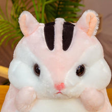 Lade das Bild in den Galerie-Viewer, Niedliche Plüsch Hörnchen Kuscheltiere (30 oder 40cm) kaufen