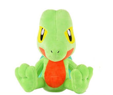 Lade das Bild in den Galerie-Viewer, Pokemon Unite Kuscheltiere - Pikachu, Glurak u. a. (ca. 20-25cm) kaufen