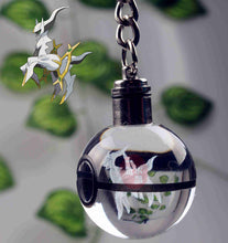 Lade das Bild in den Galerie-Viewer, Pokeball Anhänger mit Pokemon Motiven und Farbwechsel kaufen
