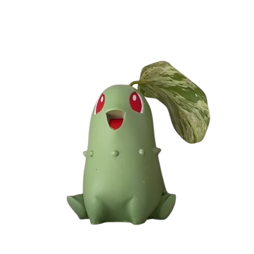 Endivie Chikorita Blumentopf für einzelne Pflanze