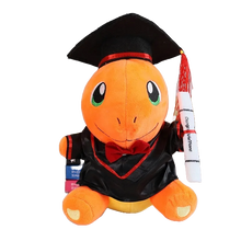 Load the image into the gallery viewer, Pokemon Graduation or Doctor Plush Toys (approx. 20cm)