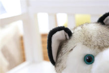 Load the picture into the gallery viewer, Buy Cute Husky Stuffed Animal Stuffed Animal Dog
